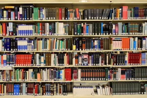 library, books, bookshelves, bookcases, literature, read, reading, bookworm, knowledge, information, data, college, university, learning, education, study, research, library books, publication, expertise, wisdom, school, reference, library, library, library, library, library, books, books, books, college, university, education, study, research, school, school, school