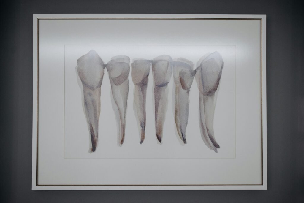 Artistic depiction of extracted teeth framed and displayed in a dental clinic.